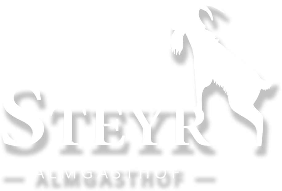Logo Steyr weiss Plauen